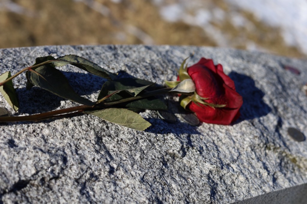 Protected: DIRTY DEEDS DONE DIRT CHEAP? part&nbsp;1