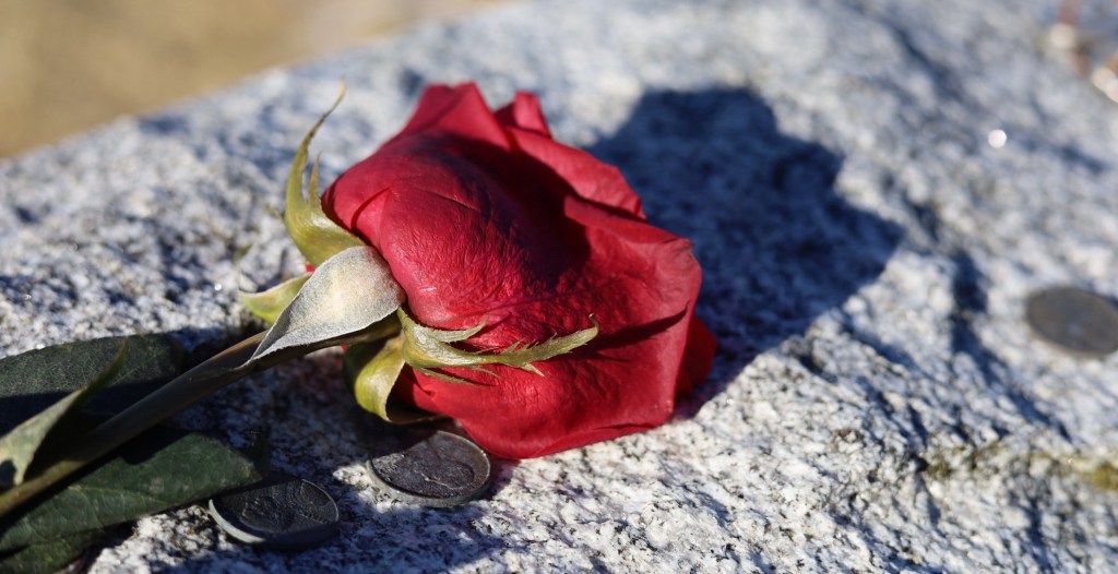 TO THOSE WHO KNOW…YOU KNOW…..&nbsp;🪿