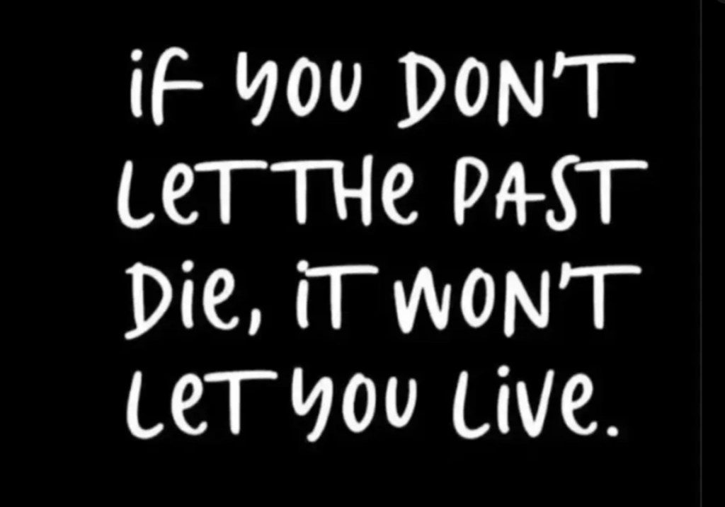 In the night 2 or SURE BRING&nbsp;FAMILY!