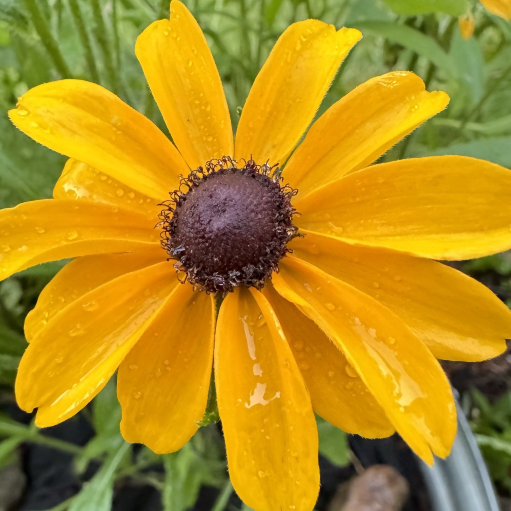 FOUND A DETOX&nbsp;BED