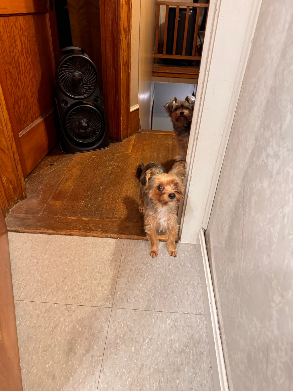 Parley vous france&nbsp;(FRENCH)