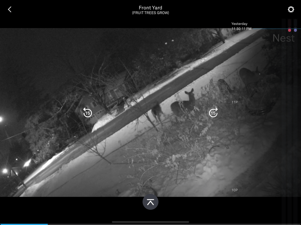 IN the night part&nbsp;3