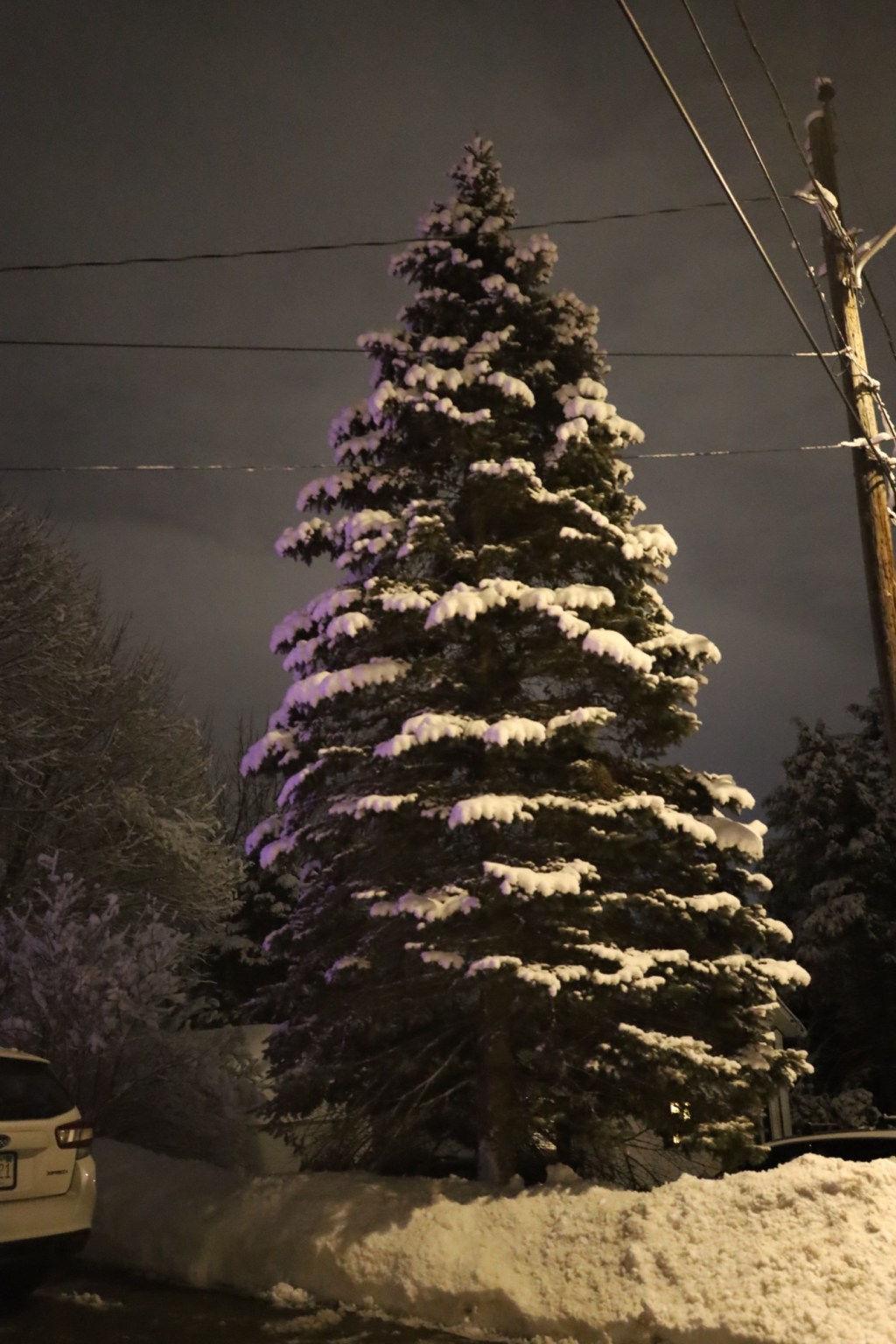 BYOSBring Your Own Shovel