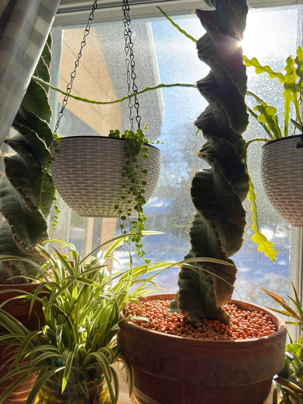 🌹💃💋💄👠😊